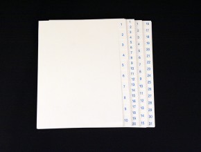 Vitt A5 pappersregister 170g med blå paginering, ohålade.